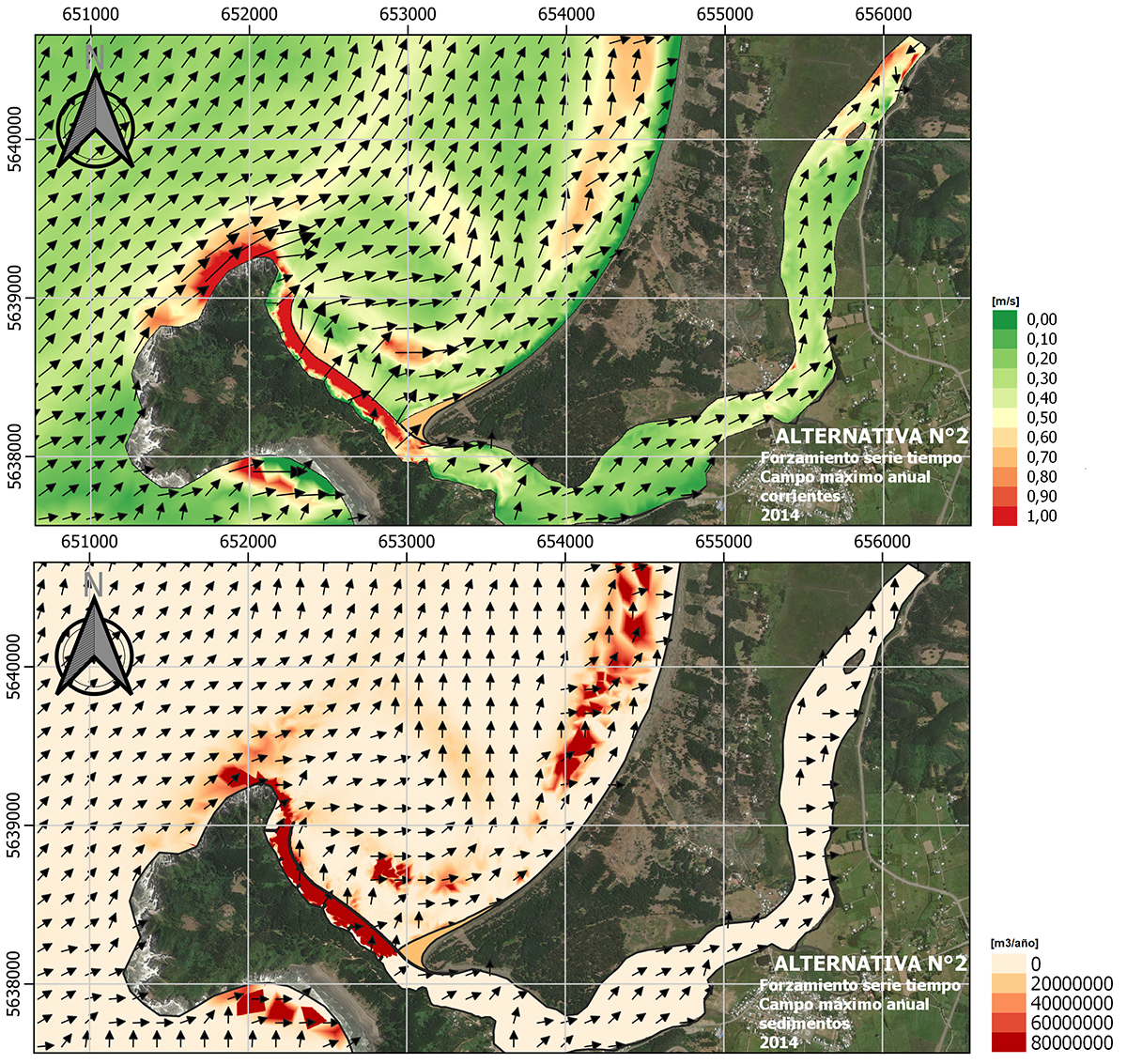 Desembocadura Río Queule